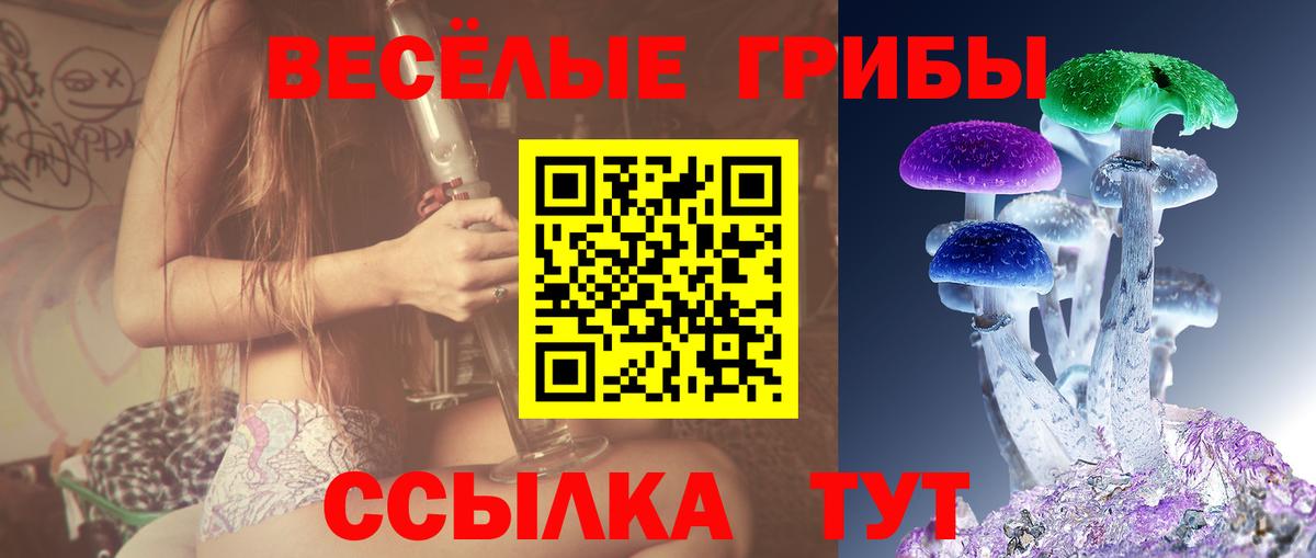 Псилоцибиновые грибы Cubensis  Вход с VPN  Верхний Уфалей  Галлюциногенные грибы Cubensis 